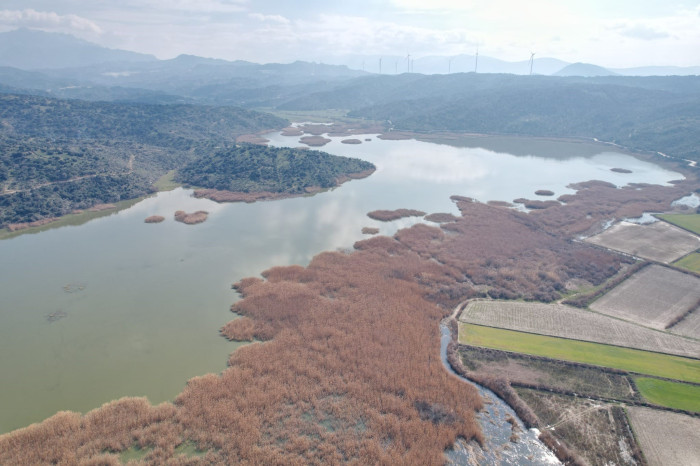 Azap Gölü (Yeşilköy/Söke/Aydın)