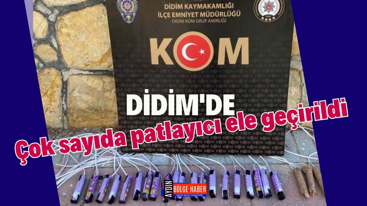 Çok sayıda patlayıcı ele geçirildi 